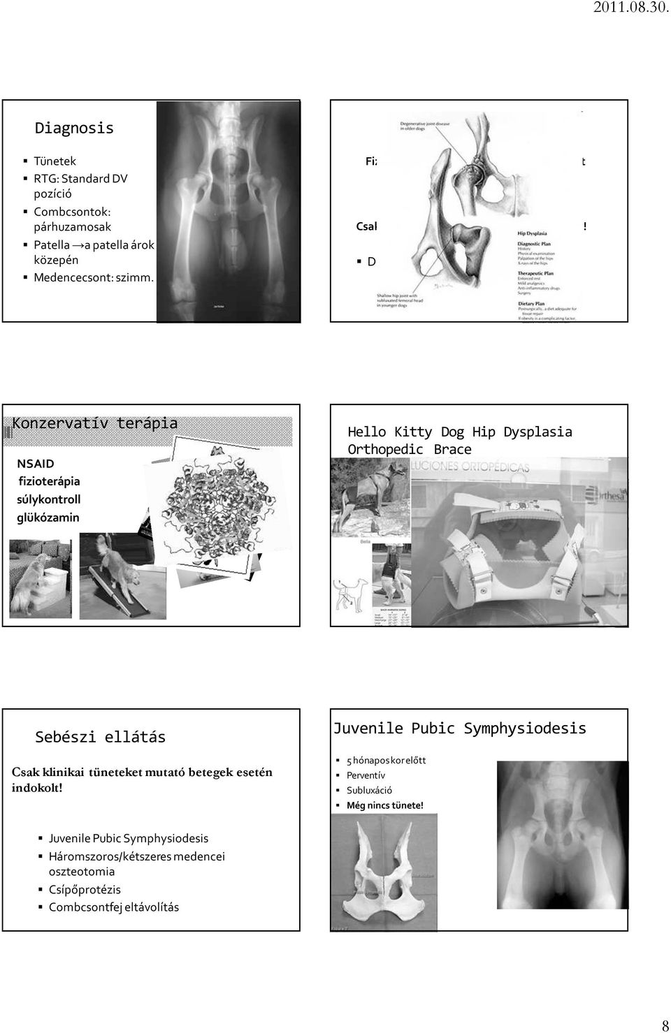 ) Konzervatív terápia NSAID fizioterápia súlykontroll glükózamin Hello Kitty Dog Hip Dysplasia Orthopedic Brace Sebészi ellátás Csak klinikai tüneteket mutató