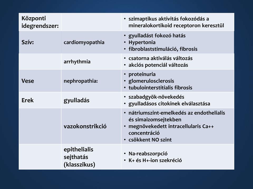 akciós potenciál változás proteinuria glomerulosclerosis tubulointerstitialis fibrosis szabadgyök-növekedés gyulladásos citokinek elválasztása