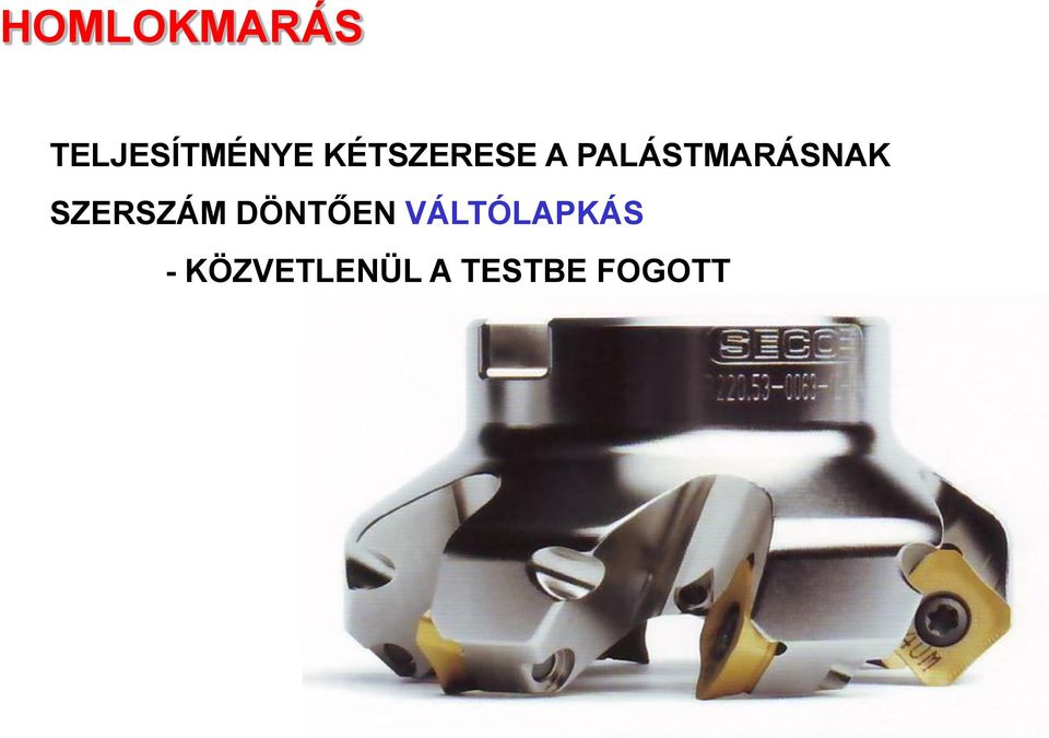 SZERSZÁM DÖNTŐEN