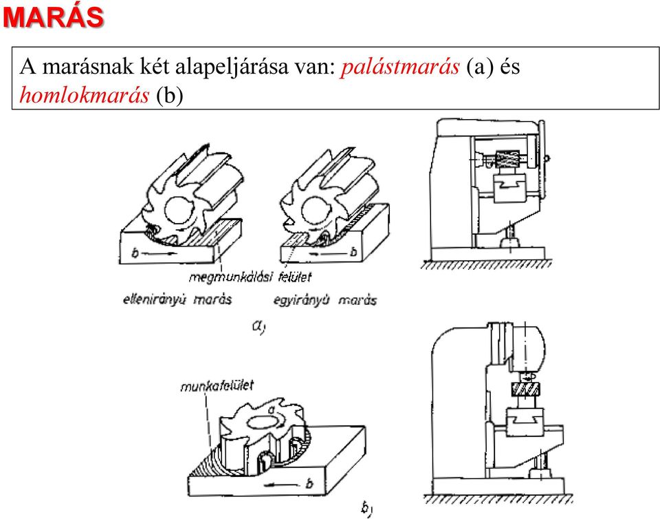 van: palástmarás
