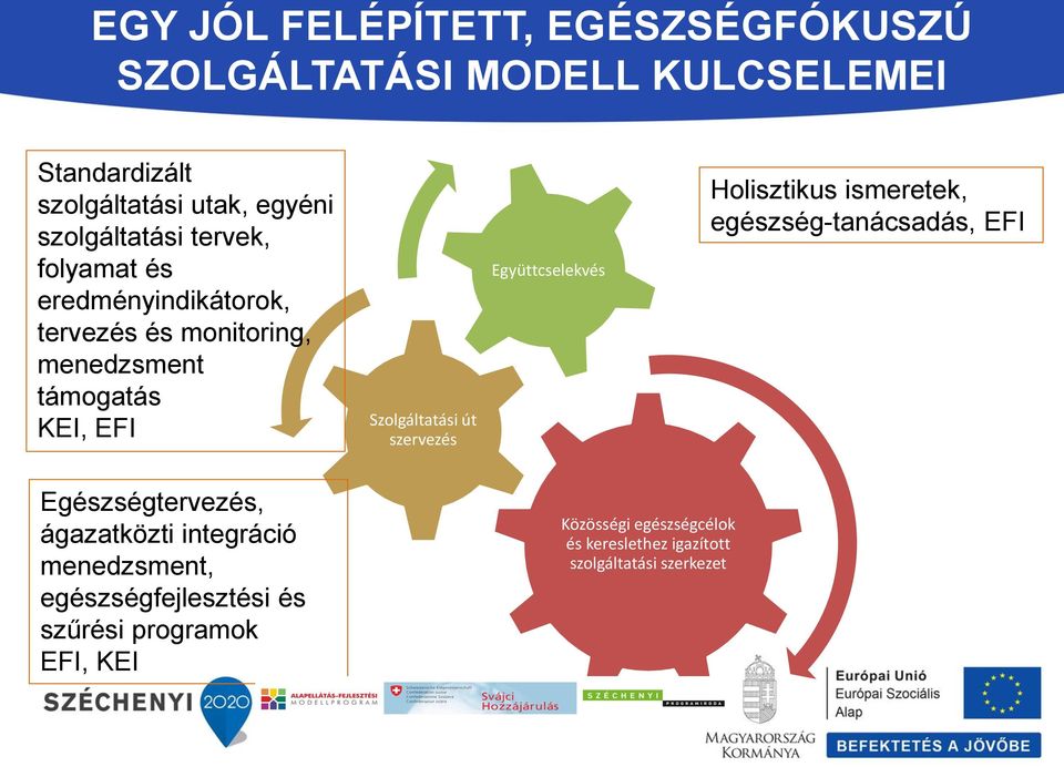 Szolgáltatási út szervezés Együttcselekvés Holisztikus ismeretek, egészség-tanácsadás, EFI Egészségtervezés, ágazatközti