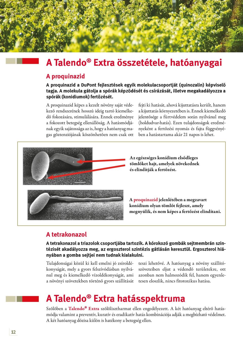 A proquinazid képes a kezelt növény saját védekező rendszerének hosszú ideig tartó kiemelkedő fokozására, stimulálására. Ennek eredménye a fokozott betegség ellenállóság.