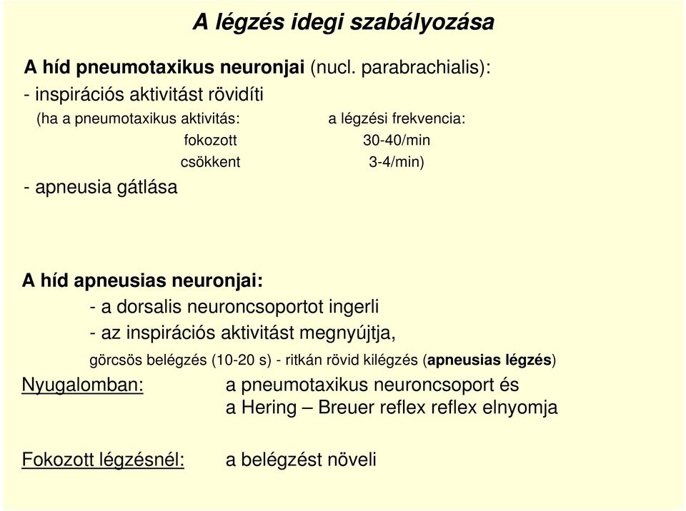 csökkent 3-4/min) - apneusia gátlása A híd apneusias neuronjai: - a dorsalis neuroncsoportot ingerli - az inspirációs aktivitást