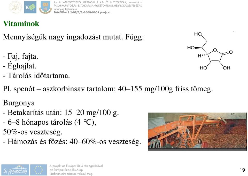 spenót aszkorbinsav tartalom: 40 155 mg/100g friss tömeg.