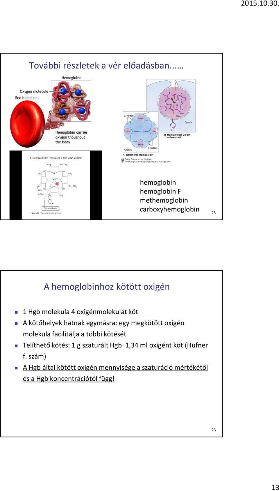 molekula 4 oxigénmolekulát köt A kötőhelyek hatnak egymásra: egy megkötött oxigén molekula facilitálja a