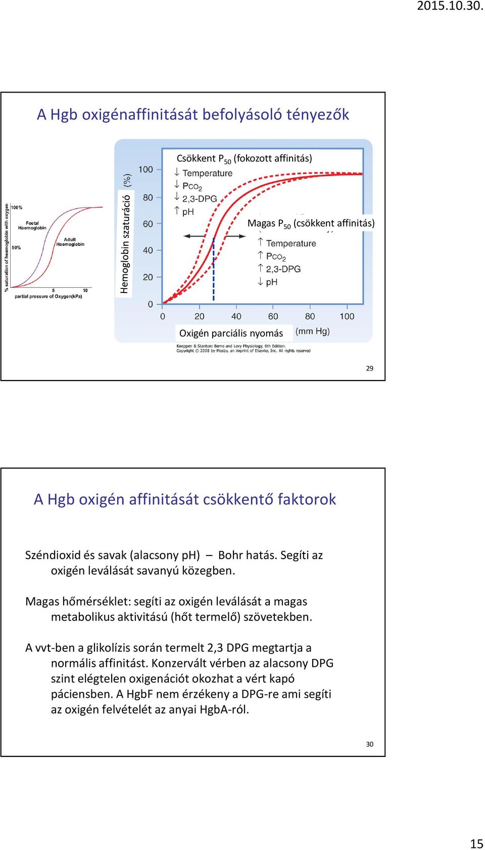 Magas hőmérséklet: segíti az oxigén leválását a magas metabolikus aktivitású (hőt termelő) szövetekben.