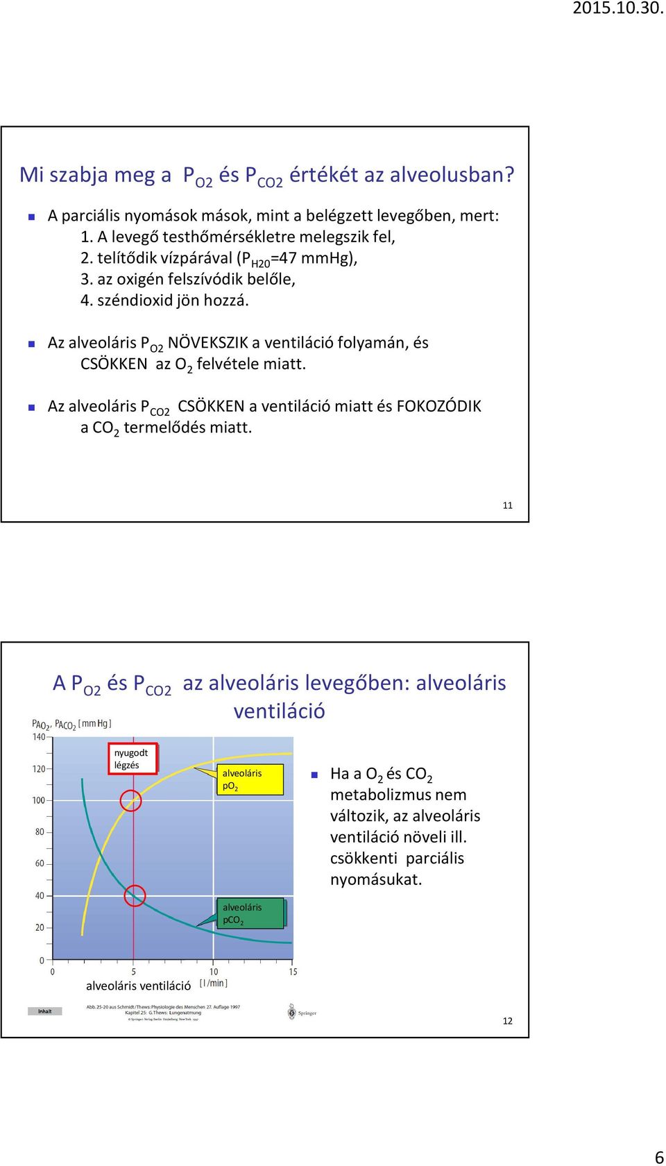Az alveoláris P O2 NÖVEKSZIK a ventiláció folyamán, és CSÖKKEN az O 2 felvétele miatt. Az alveoláris P CO2 CSÖKKEN a ventiláció miatt és FOKOZÓDIK a CO 2 termelődés miatt.