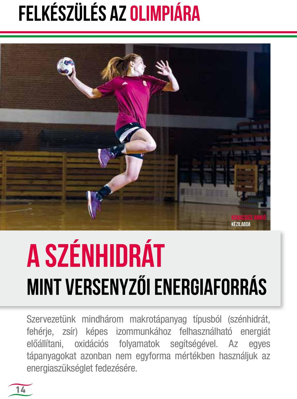 zsír) képes izommunkához felhasználható energiát előállítani, oxidációs folyamatok