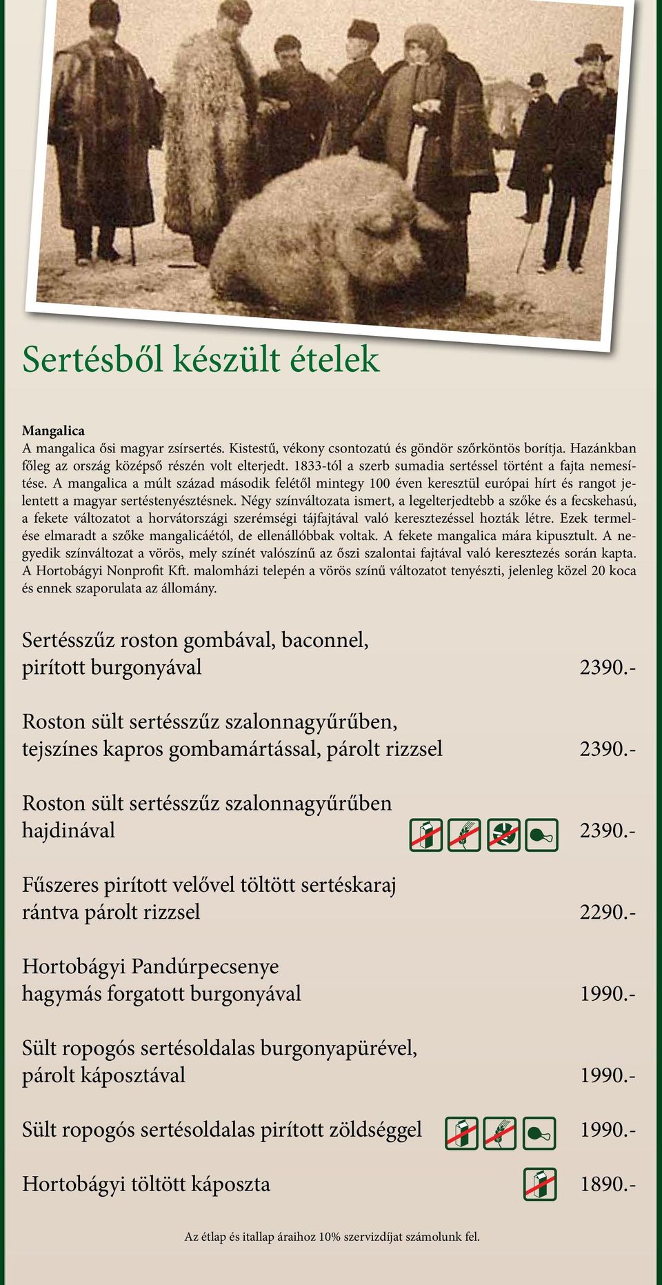 Négy színváltozata ismert, a legelterjedtebb a szőke és a fecskehasú, a fekete változatot a horvátországi szerémségi tájfajtával való keresztezéssel hozták létre.