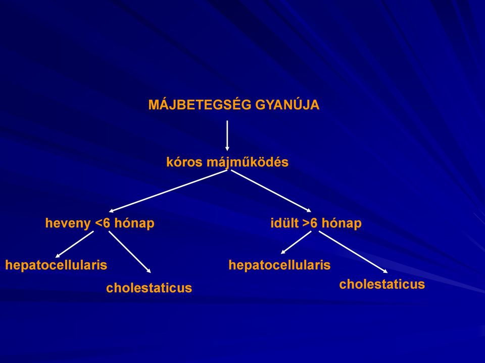 >6 hónap hepatocellularis