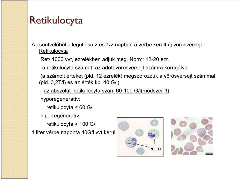- a retikulocyta számot az adott vörösvérsejt számra korrigálva (a számolt értéket (pld.