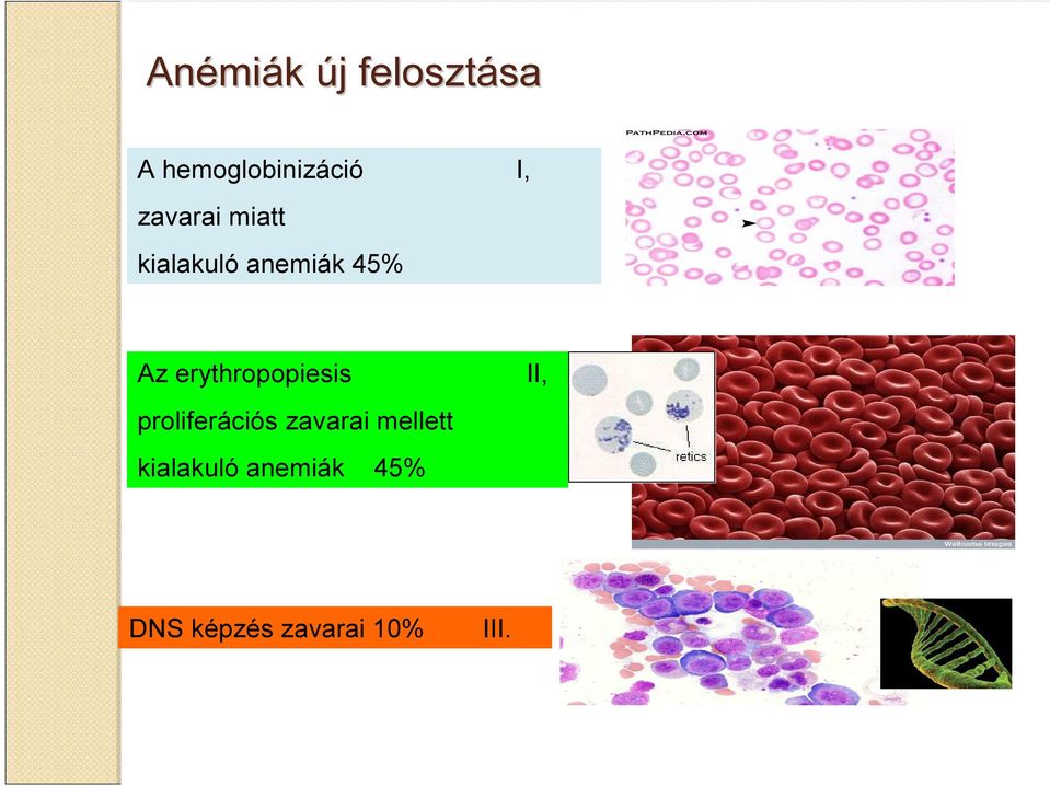 anemiák 45% Az erythropopiesis II,