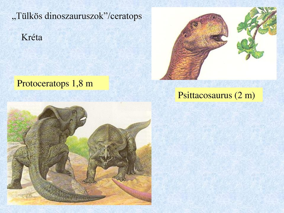 /ceratops Kréta