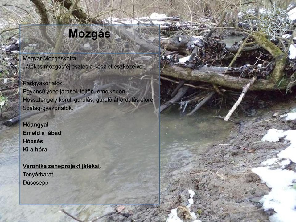 Hossztengely körüli gurulás, guruló átfordulás előre. Szalag-gyakorlatok.