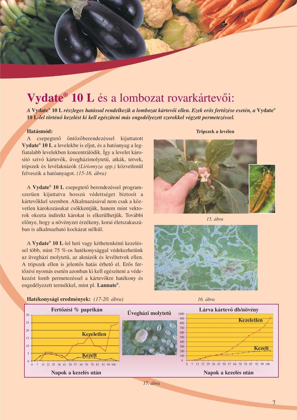 Hatásmód: A csepegtetô öntözôberendezéssel kijuttatott Vydate 1 L a levelekbe is eljut, és a hatóanyag a legfiatalabb levelekben koncentrálódik.
