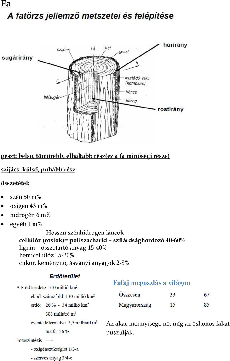 (rostok)= poliszacharid szilárdsághordozó 40-60% lignin összetartó anyag 15-40% hemicellúlóz 15-20%