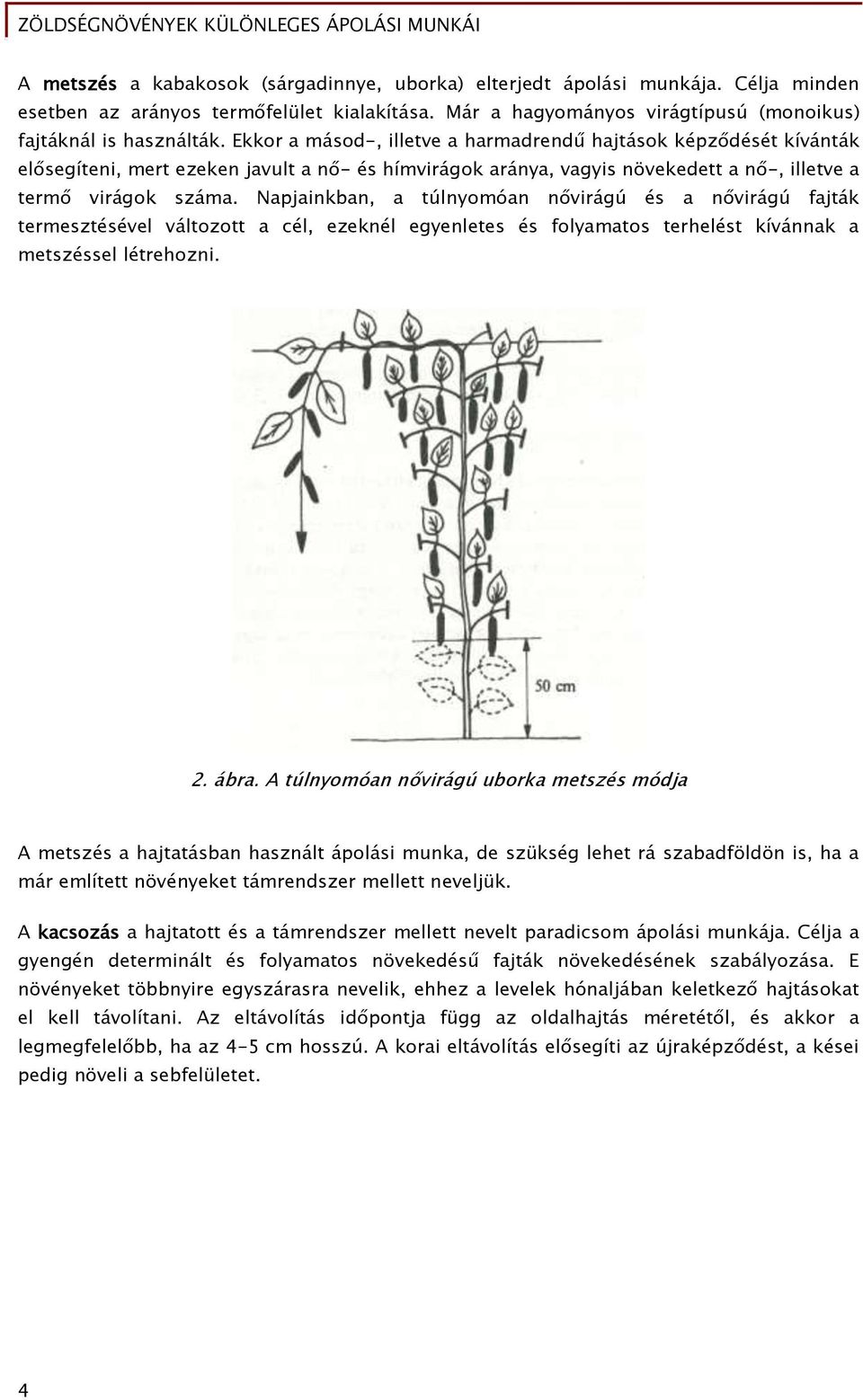 Napjainkban, a túlnyomóan nővirágú és a nővirágú fajták termesztésével változott a cél, ezeknél egyenletes és folyamatos terhelést kívánnak a metszéssel létrehozni. 2. ábra.
