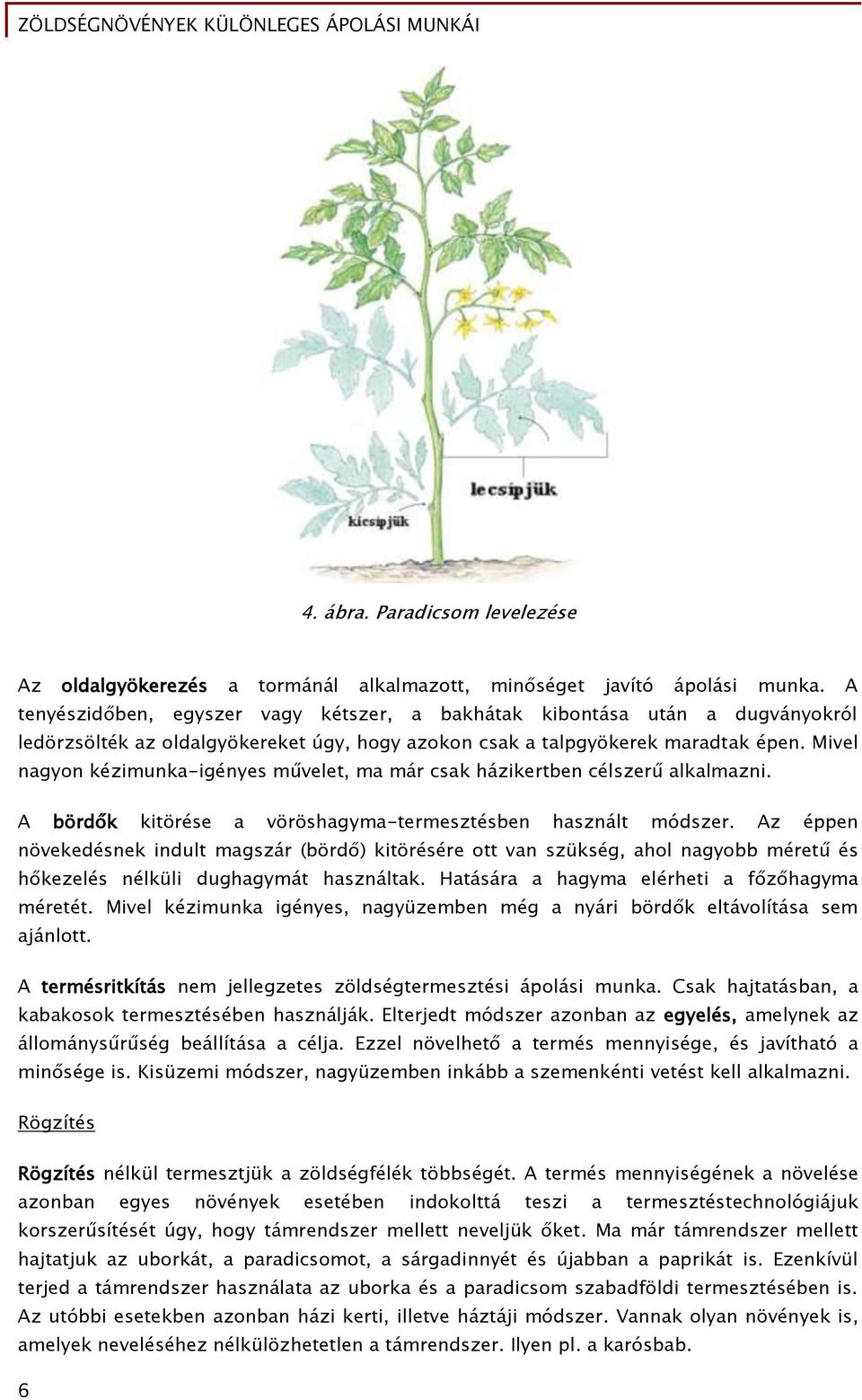 Mivel nagyon kézimunka-igényes művelet, ma már csak házikertben célszerű alkalmazni. A bördők kitörése a vöröshagyma-termesztésben használt módszer.
