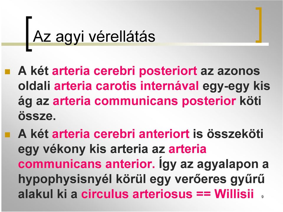 A két arteria cerebri anteriort is összeköti egy vékony kis arteria az arteria communicans