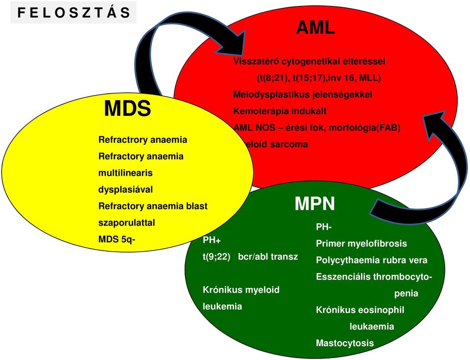 AML NOS érési fok, morfológia(fab) Myeloid sarcoma MPN szaporulattal MDS 5q- PH+ t(9;22) bcr/abl transz Krónikus myeloid