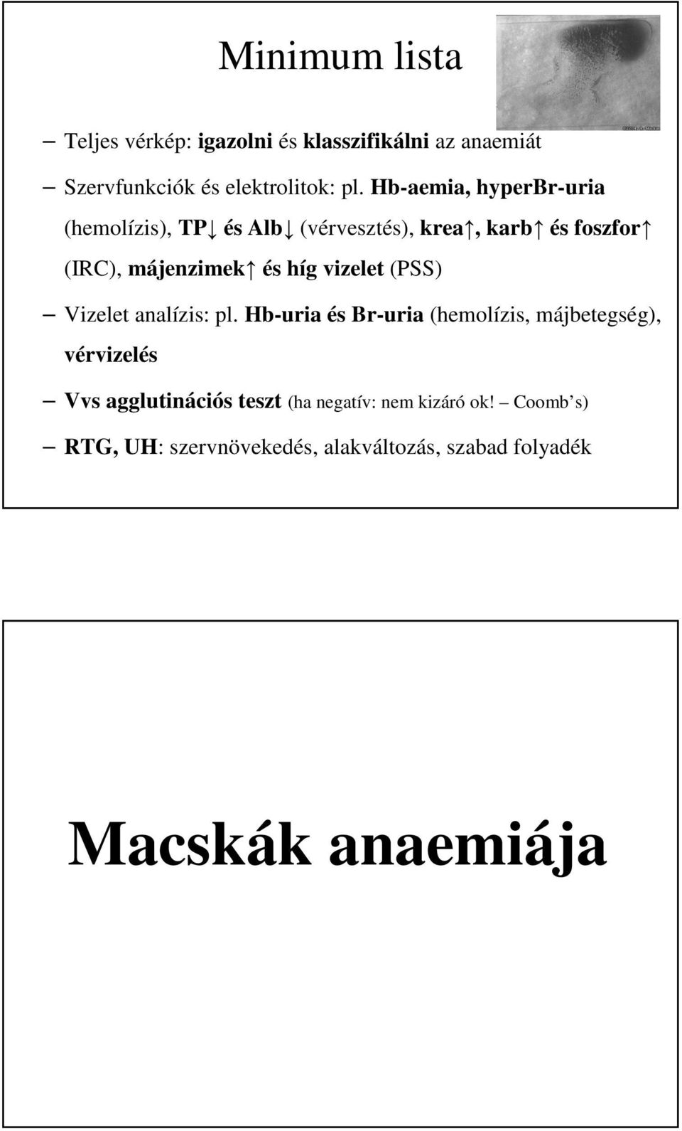 vizelet (PSS) Vizelet analízis: pl.