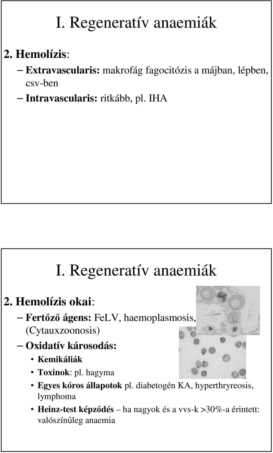 ritkább, pl. IHA 2. Hemolízis okai: I.