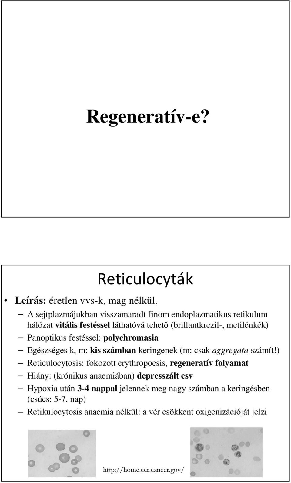 festéssel: polychromasia Egészséges k, m: kis számban keringenek (m: csak aggregata számít!