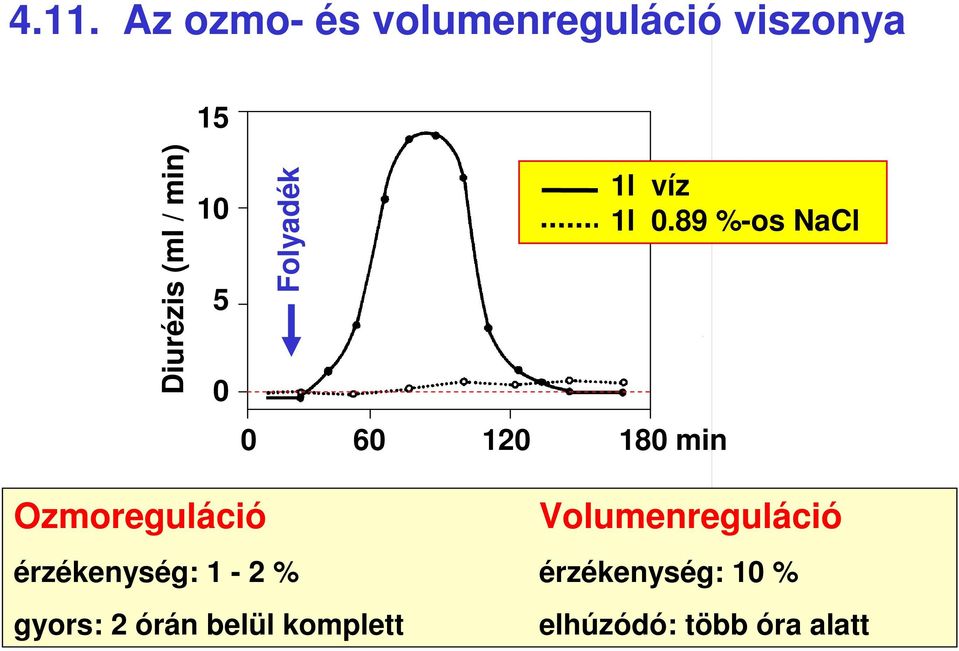 89 %-os NaCl Ozmoreguláció Volumenreguláció érzékenység: 1-2