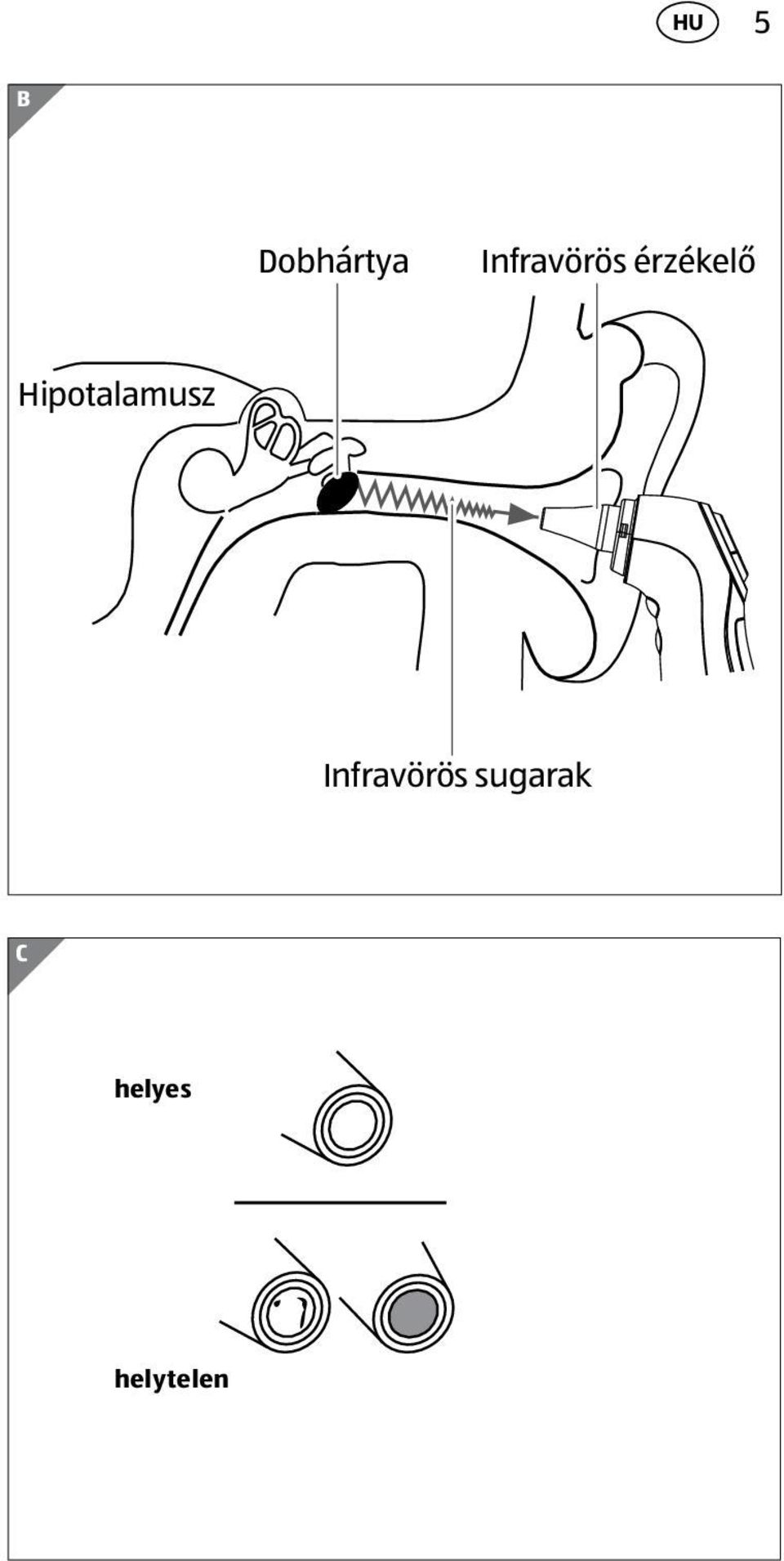 Hipotalamusz