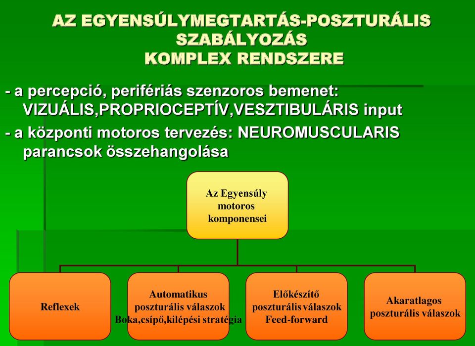 parancsok összehangolása Az Egyensúly motoros komponensei Reflexek Automatikus poszturális válaszok