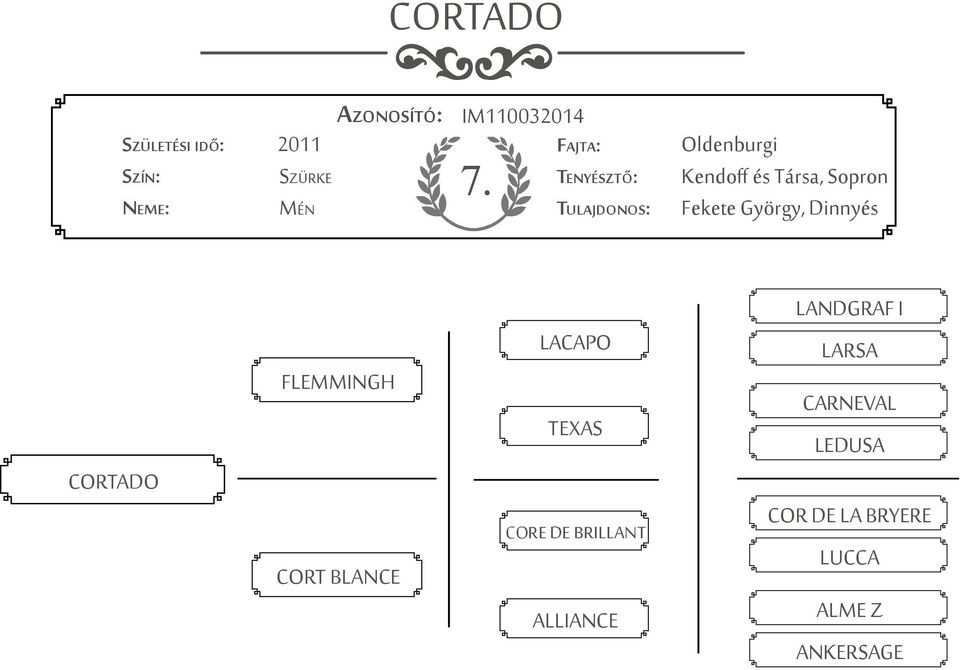 CORTADO FLEMMINGH CORT BLANCE LACAPO TEXAS CORE DE BRILLANT