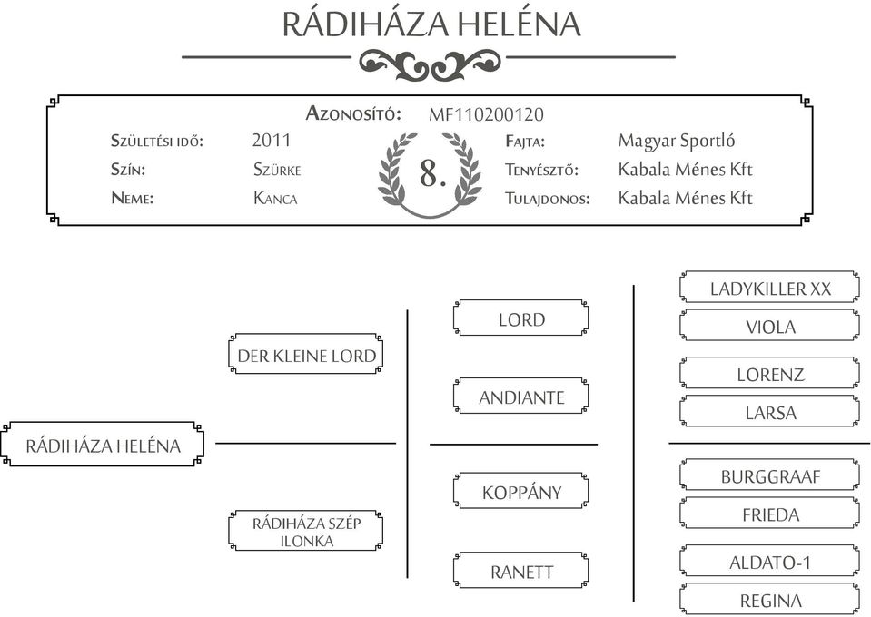 HELÉNA DER KLEINE LORD RÁDIHÁZA SZÉP ILONKA LORD ANDIANTE