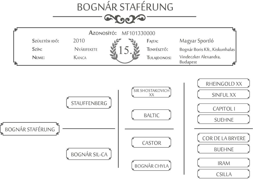 Vindeczker Alexandra, Budapest BOGNÁR STAFÉRUNG STAUFFENBERG BOGNÁR SIL-CA