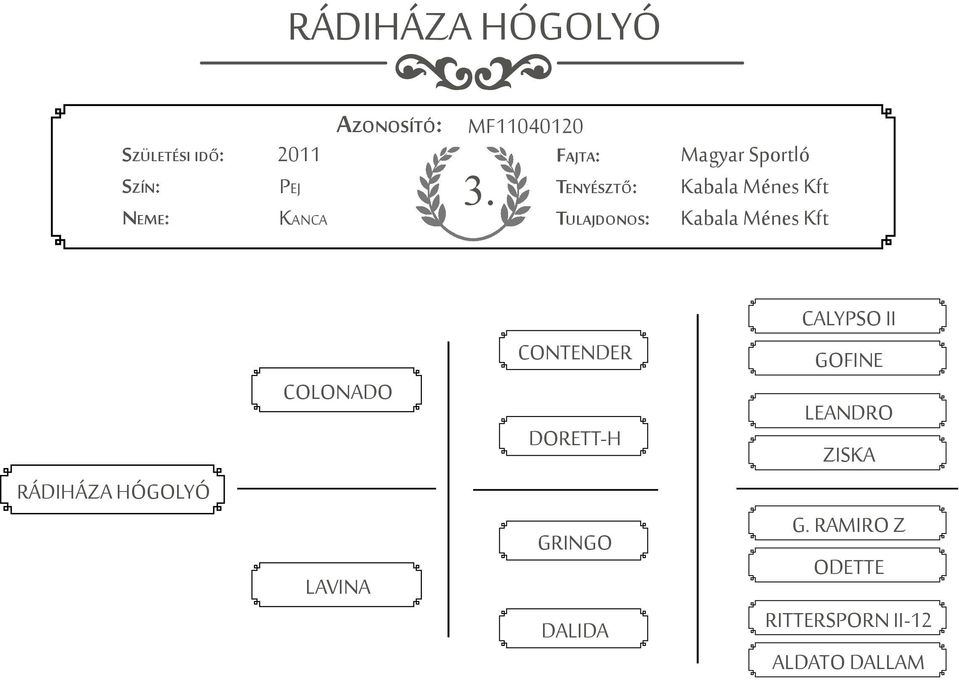 HÓGOLYÓ COLONADO LAVINA CONTENDER DORETT-H GRINGO DALIDA