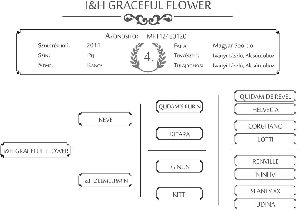 Alcsútdoboz I&H GRACEFUL FLOWER KEVE I&H ZEEMEERMIN QUDAM S RUBIN