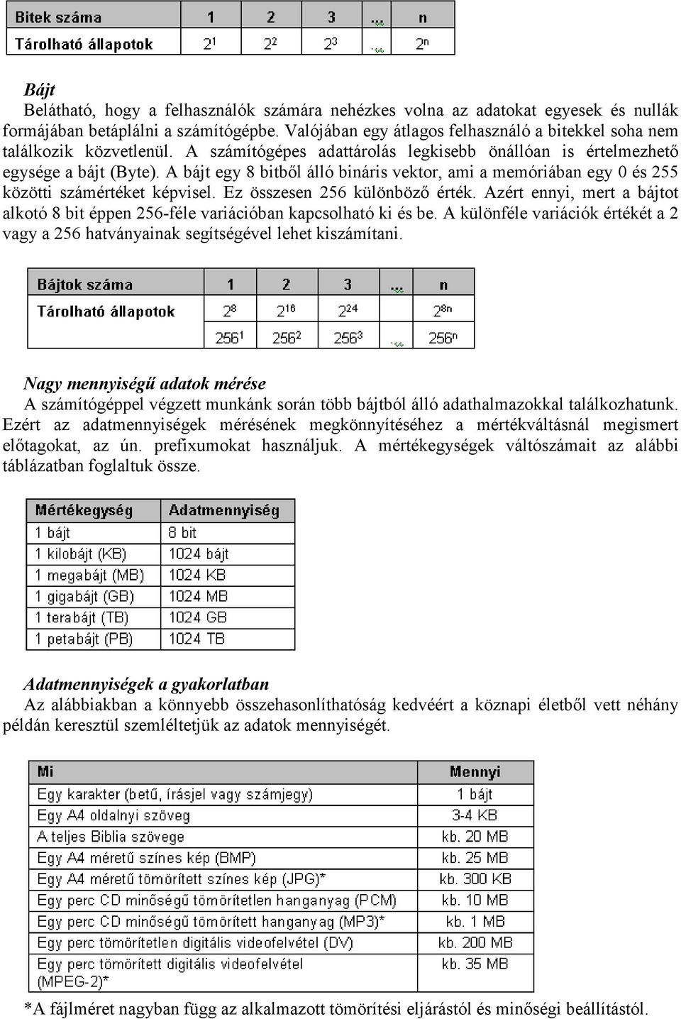 A bájt egy 8 bitből álló bináris vektor, ami a memóriában egy 0 és 255 közötti számértéket képvisel. Ez összesen 256 különböző érték.