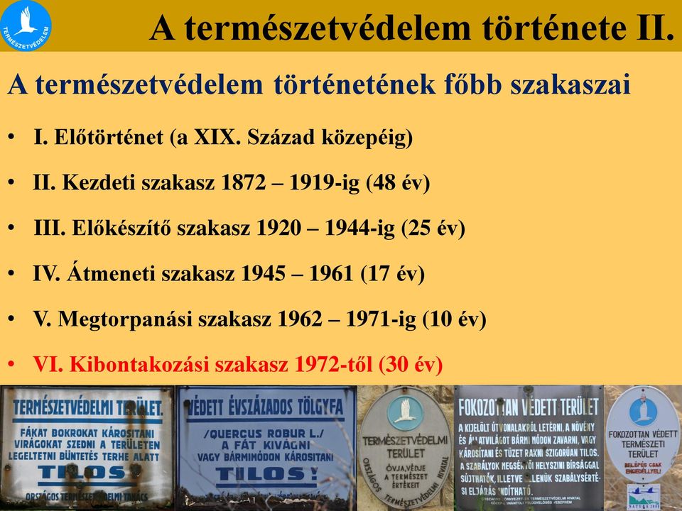 Kezdeti szakasz 1872 1919-ig (48 év) III.