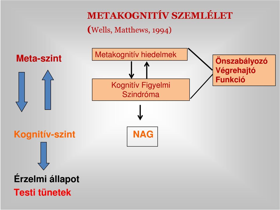 Figyelmi Szindróma Önszabályozó Végrehajtó