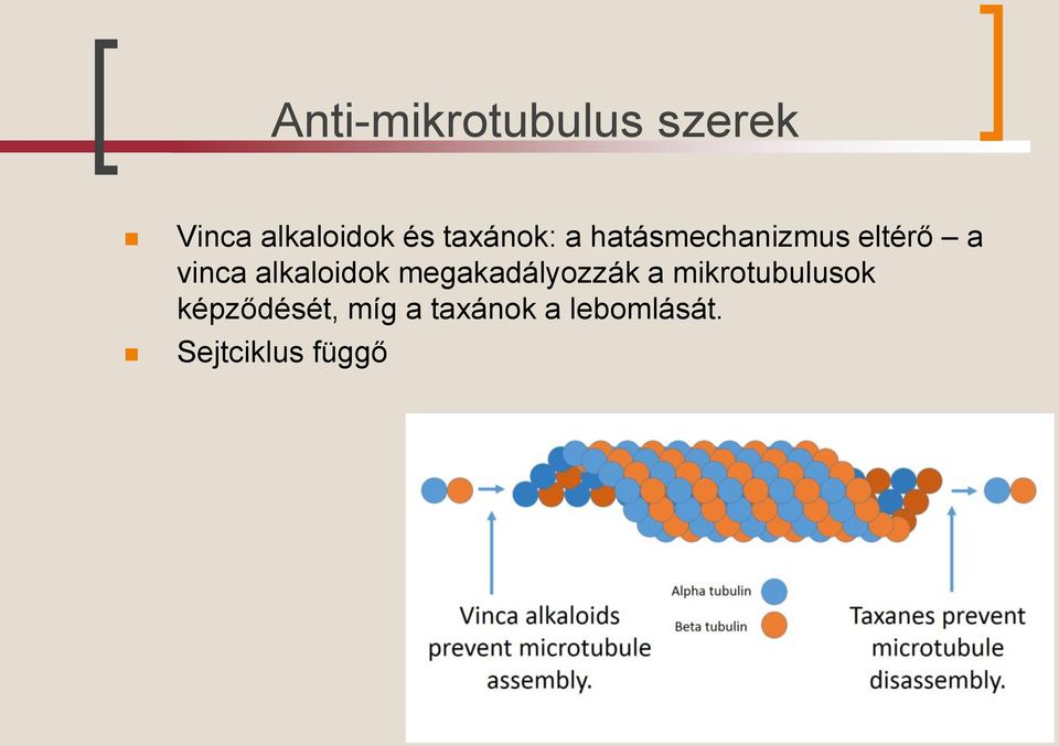 alkaloidok megakadályozzák a mikrotubulusok