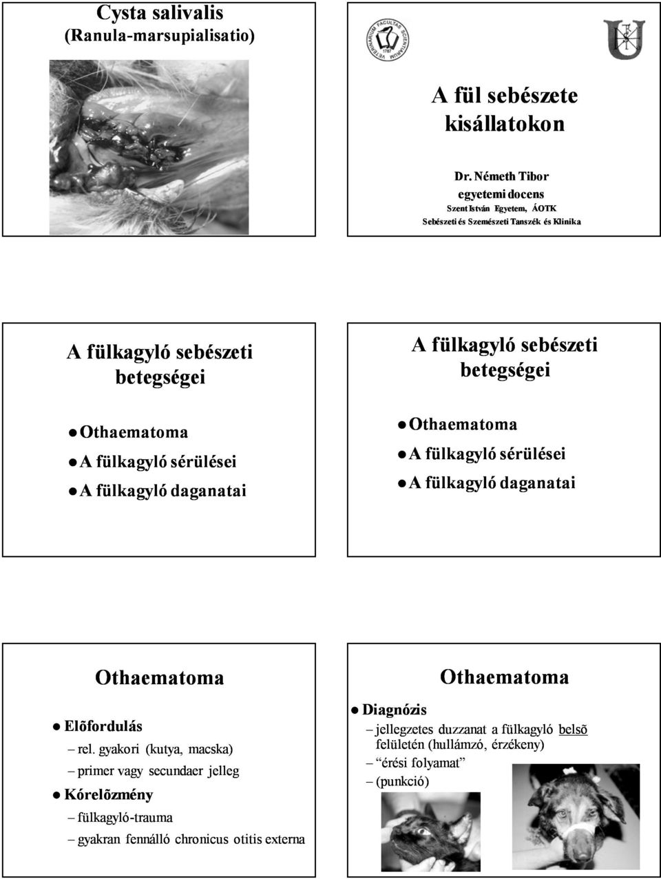 fülkagyló sérülései A fülkagyló daganatai A fülkagyló sebészeti betegségei Othaematoma A fülkagyló sérülései A fülkagyló daganatai Othaematoma