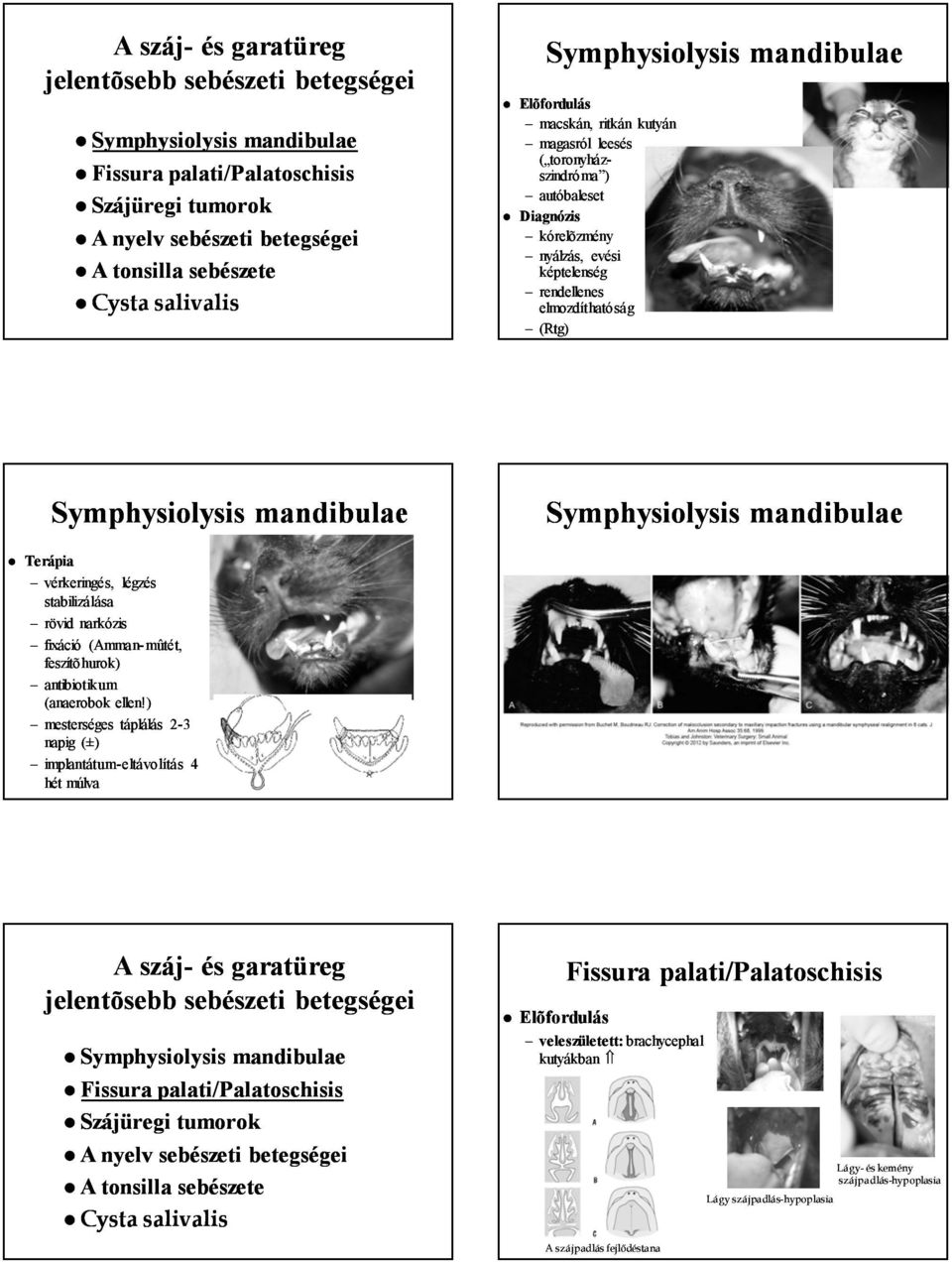 mandibulae Terápia vérkeringés, légzés stabilizálása rövid narkózis fixáció (Amman-mûtét, mûtét, feszítõhurok) antibiotikum (anaerobok ellen!