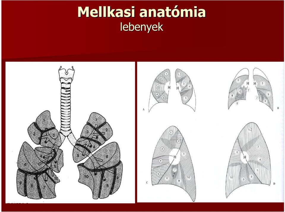 lebenyek