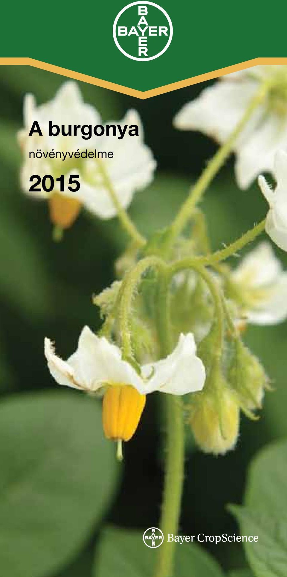 A burgonya. növényvédelme - PDF Ingyenes letöltés