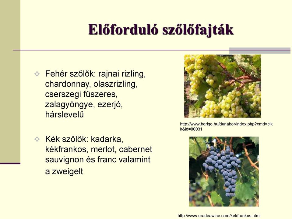 kékfrankos, merlot, cabernet sauvignon és franc valamint a zweigelt http://www.