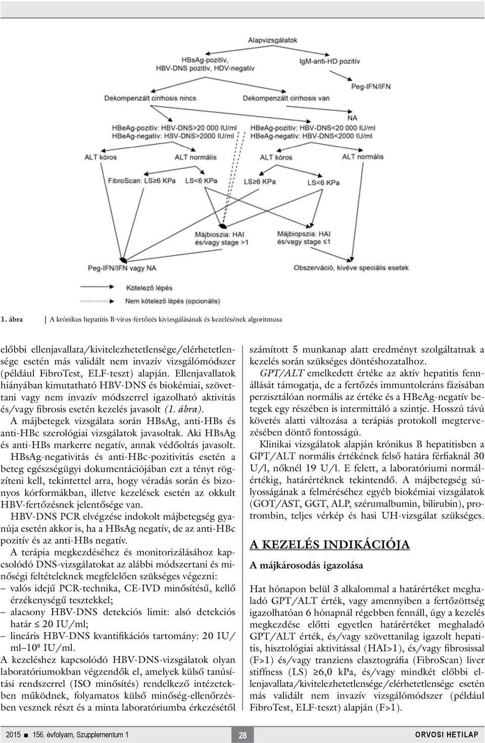 Ellenjavallatok hiányában kimutatható HBV-DNS és biokémiai, szövettani vagy nem invazív módszerrel igazolható aktivitás és/vagy fibrosis esetén kezelés javasolt (1. ábra).