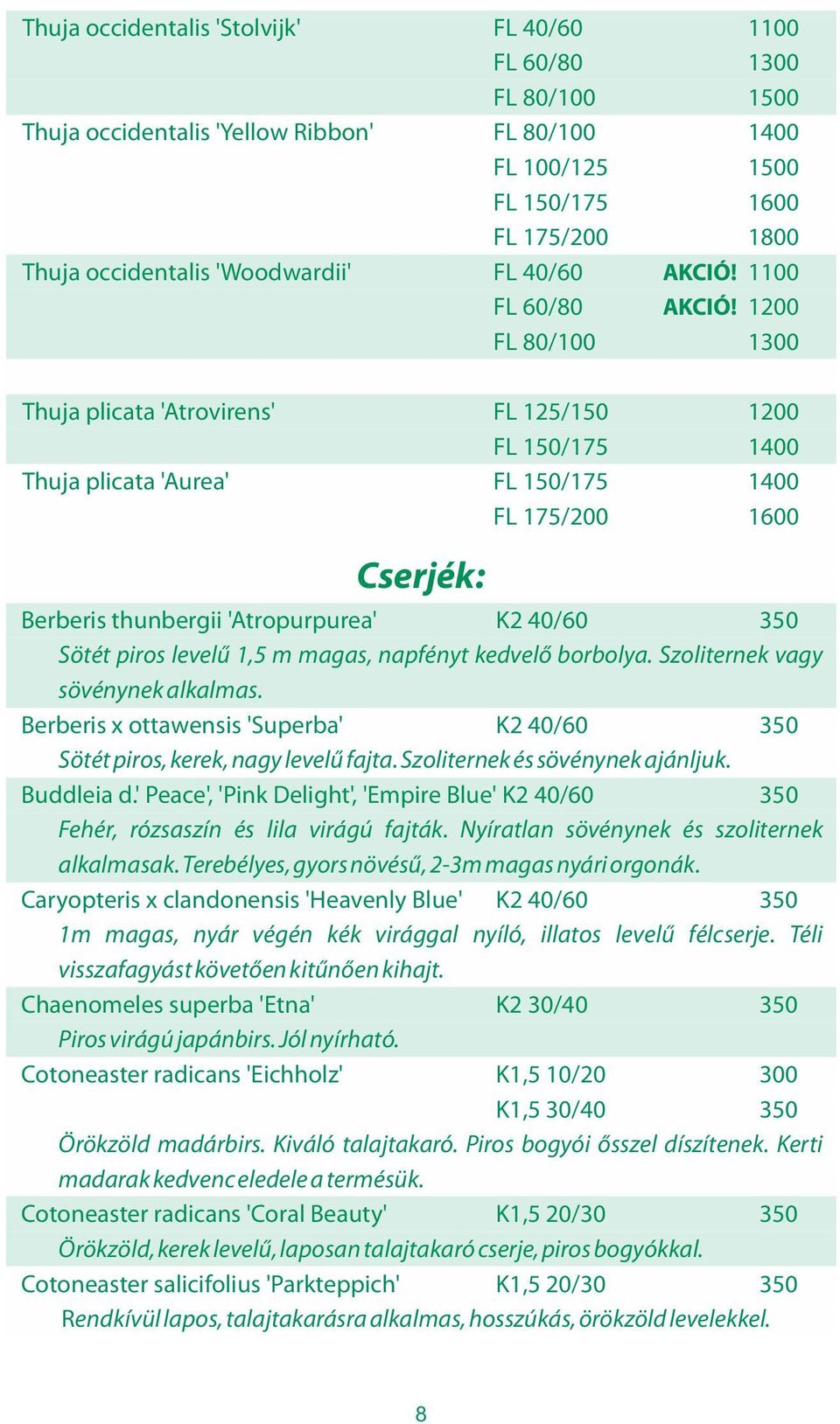 1200 FL 80/100 1300 Thuja plicata 'Atrovirens' FL 125/150 1200 FL 150/175 1400 Thuja plicata 'Aurea' FL 150/175 1400 FL 175/200 1600 Cserjék: Berberis thunbergii 'Atropurpurea' K2 40/60 350 Sötét