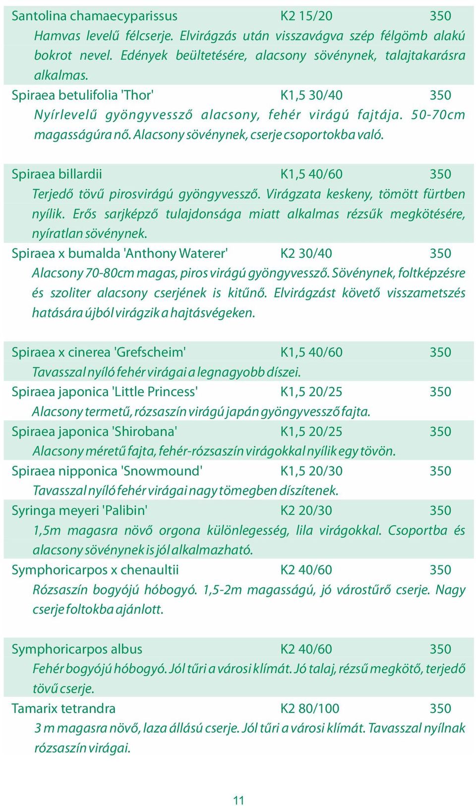 Spiraea billardii K1,5 40/60 350 Terjedő tövű pirosvirágú gyöngyvessző. Virágzata keskeny, tömött fürtben nyílik. Erős sarjképző tulajdonsága miatt alkalmas rézsűk megkötésére, nyíratlan sövénynek.