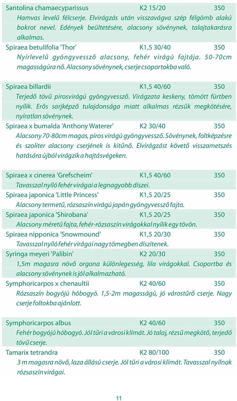 Spiraea billardii K1,5 40/60 350 Terjedő tövű pirosvirágú gyöngyvessző. Virágzata keskeny, tömött fürtben nyílik. Erős sarjképző tulajdonsága miatt alkalmas rézsűk megkötésére, nyíratlan sövénynek.