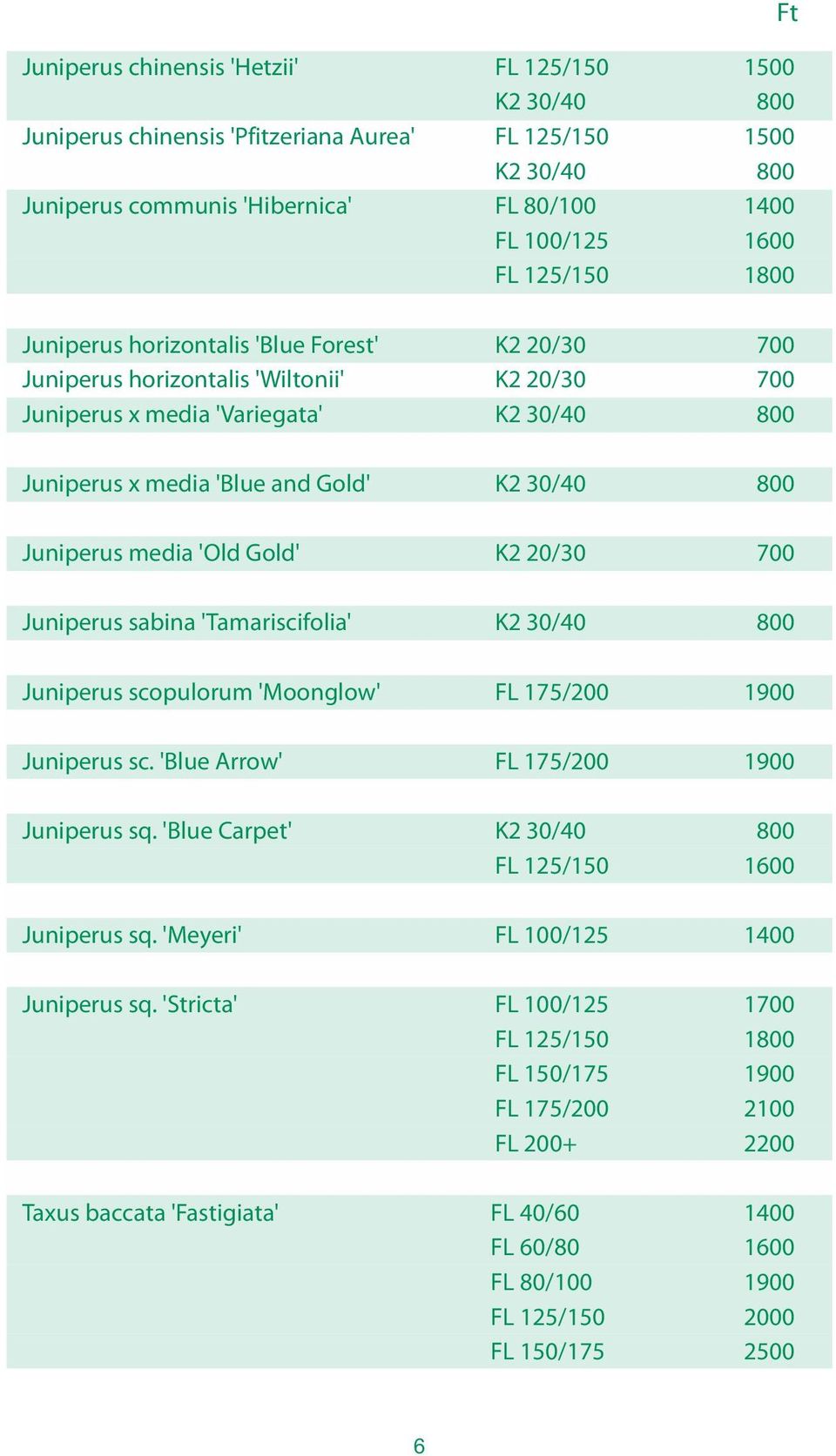 Juniperus media 'Old Gold' K2 20/30 700 Juniperus sabina 'Tamariscifolia' K2 30/40 800 Juniperus scopulorum 'Moonglow' FL 175/200 1900 Juniperus sc. 'Blue Arrow' FL 175/200 1900 Juniperus sq.