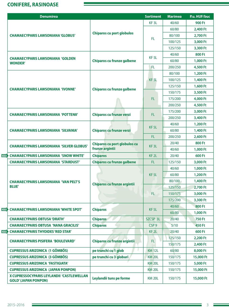 150/175 3,500 Ft 175/200 4,000 Ft 200/250 4,500 Ft CHAMAECYPARIS LAWSONIANA POTTENII Chiparos cu frunze verzi 175/200 3,000 Ft 200/250 3,400 Ft 40/60 1,200 Ft KF 5L CHAMAECYPARIS LAWSONIANA SILVANIA